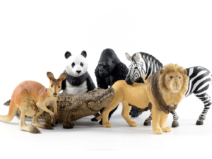 Diversidade do Reino Animal